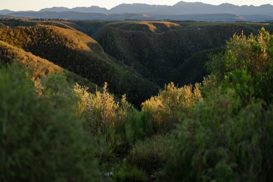 3 Bedroom Property for Sale in Plettenberg Bay Rural Western Cape